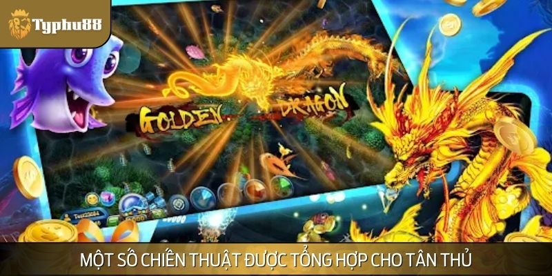 Một số chiến thuật được tổng hợp cho tân thủ