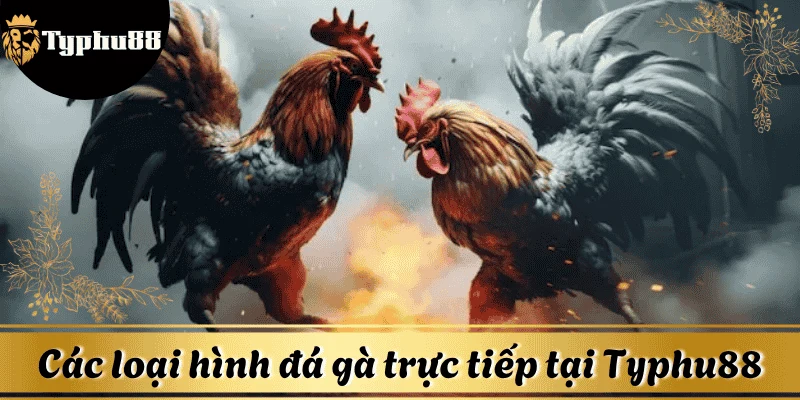 hinh-thuc-truc-tiep-da-ga-Typhu88